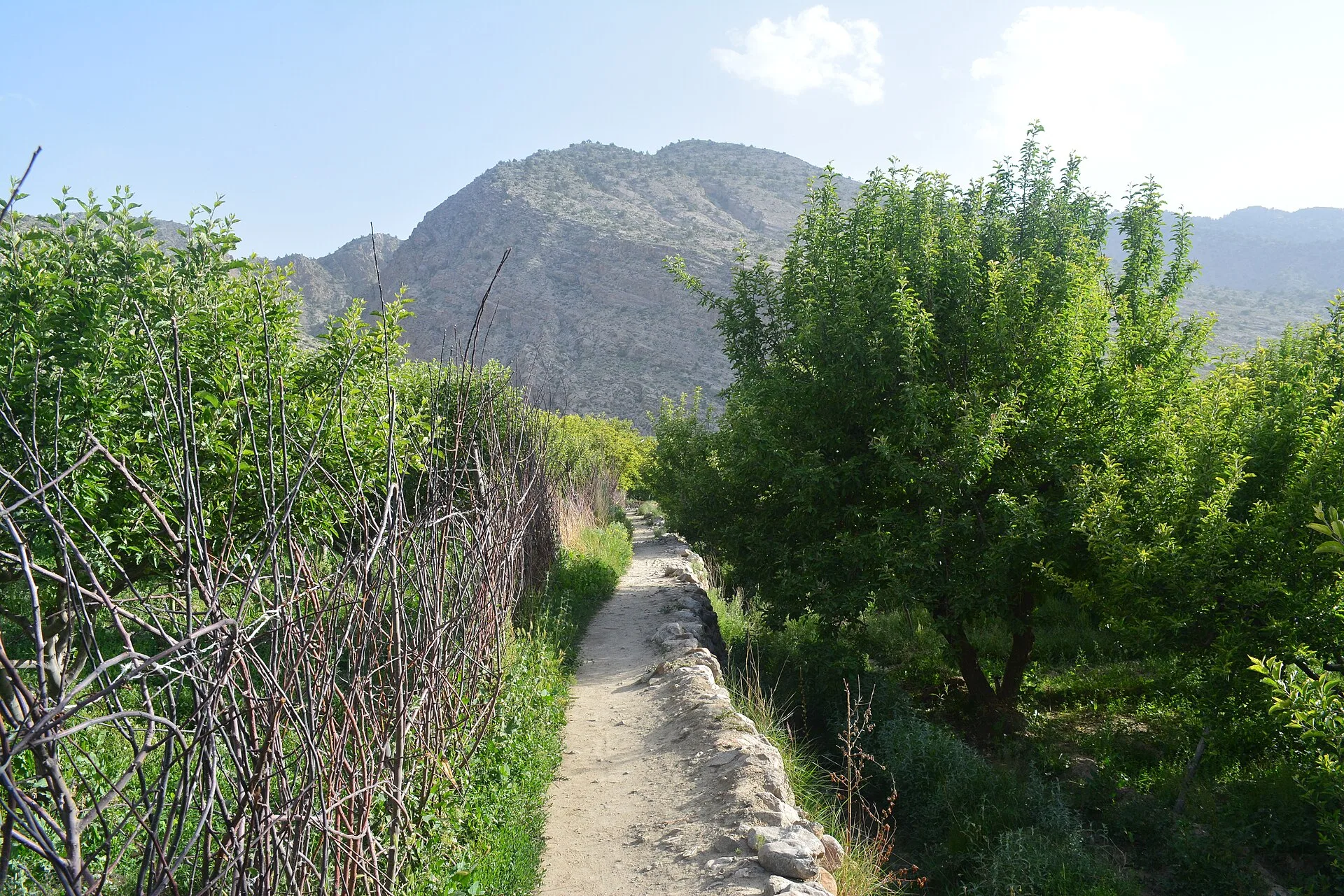 A landscape in Balochistan, Pakistan. This photo does not depict current military activity.