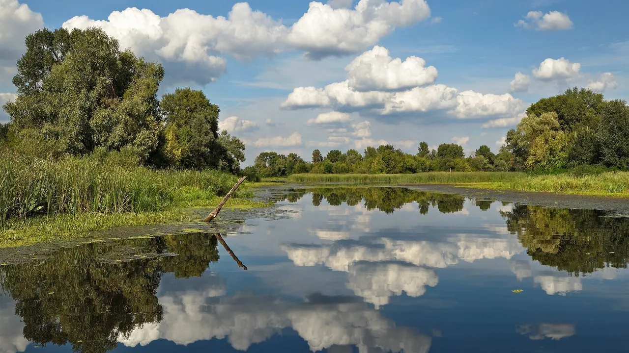 The Dnipro river at Kozachij island, Ukraine (file photo). This photo does not depict the Oleksandrivka direction or any event reported in this article.