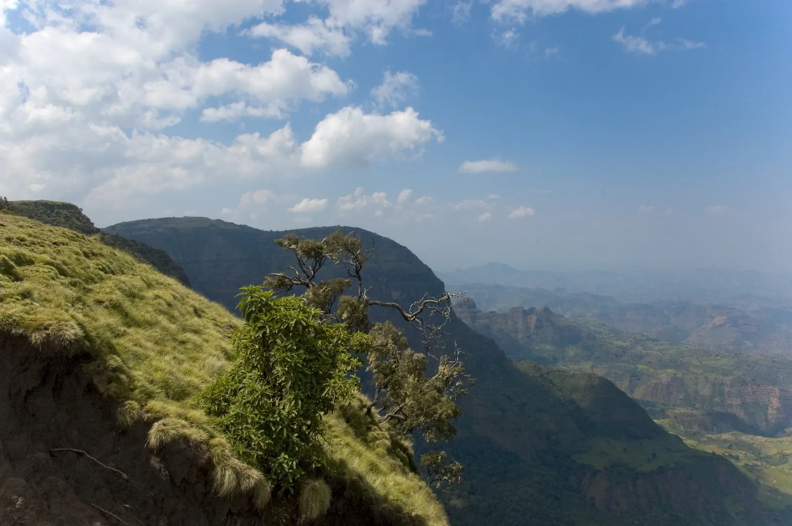 The Simien Mountains in the Ethiopian highlands.