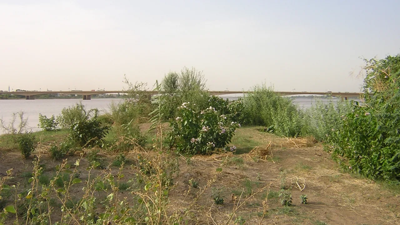 The confluence of the White and Blue Nile at Khartoum (file photo). Sudan's war began in the capital in April 2023 and has since displaced about 13 million people. This photo does not depict any event reported in this article.