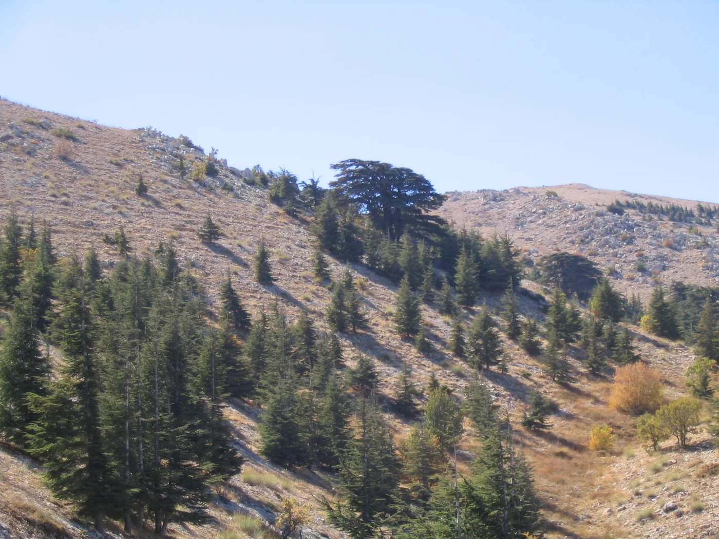 The Barouk mountains in Lebanon (archive photo). This photo is unrelated to the reported events.