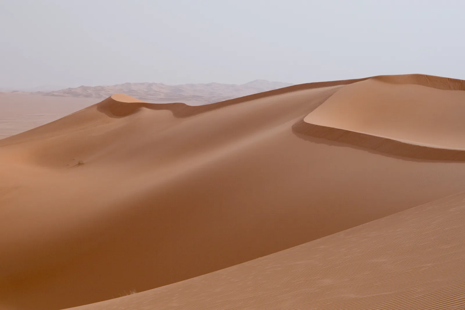 Sand dunes in Libya's Idehan Ubari erg. — Photo: Luca Galuzzi / Wikimedia Commons (CC BY-SA 2.5)