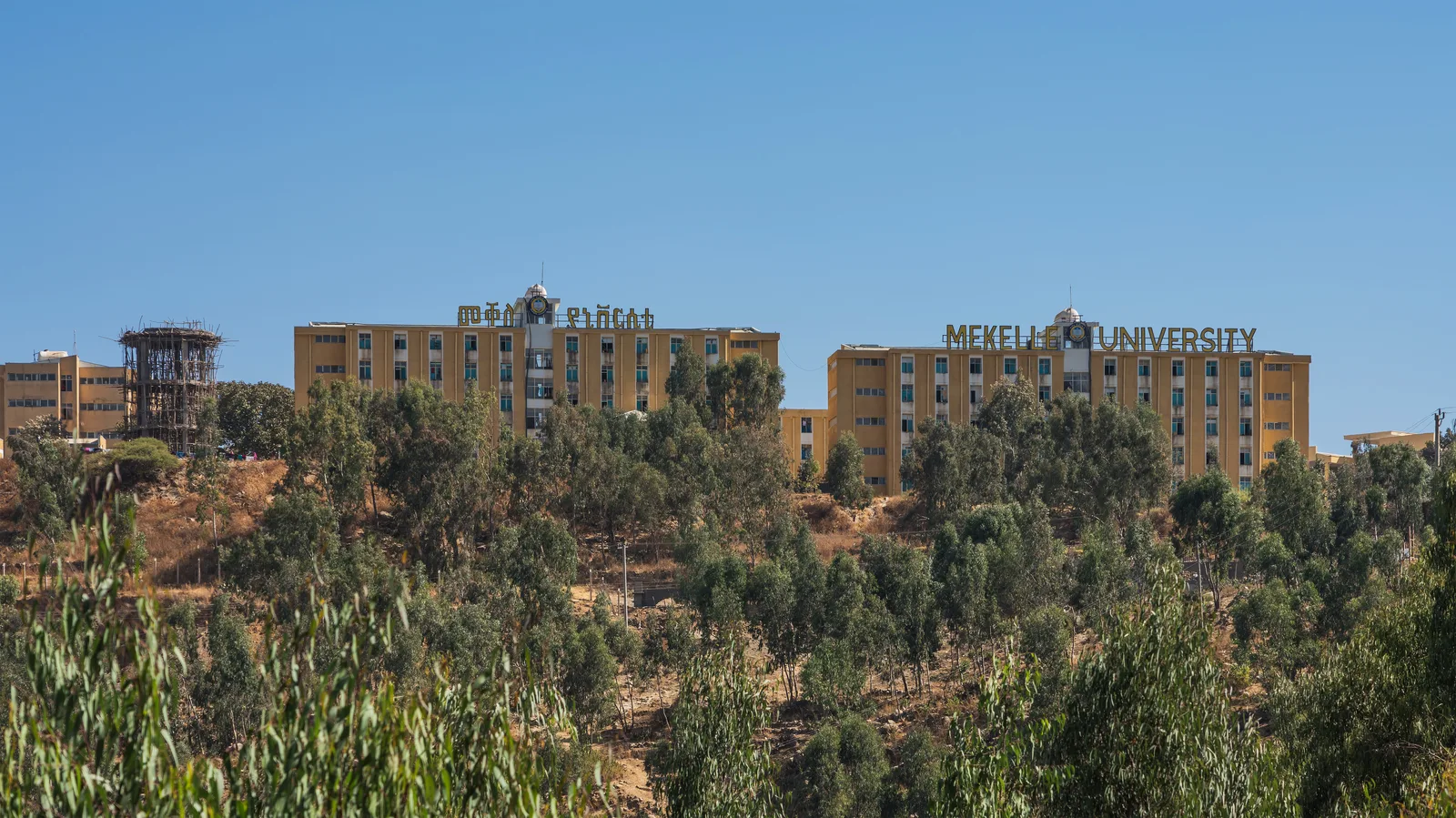 Mekelle University in the Tigray regional capital, Mekelle (file photo). This photo does not depict any event reported in this article.