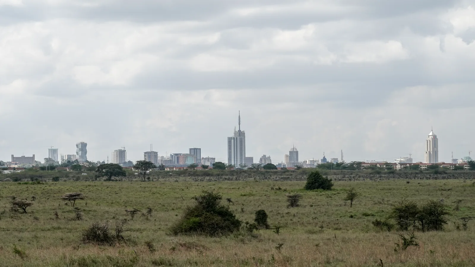 The Nairobi skyline seen across Nairobi National Park, Kenya (file photo). This photo does not depict any event reported in this article.