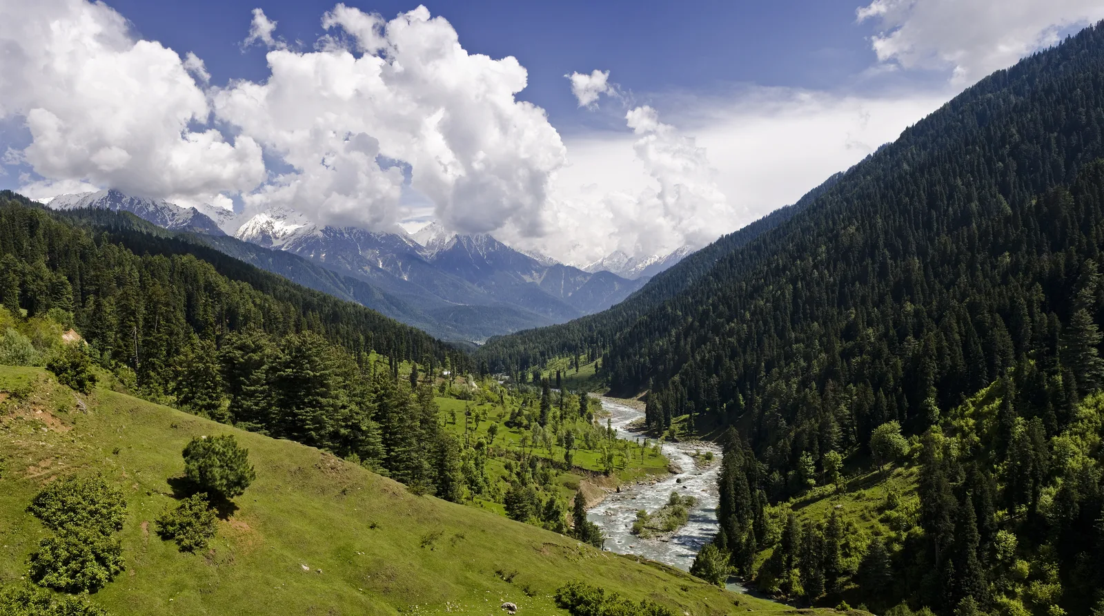 The Pahalgam valley, a river winding beneath snow-capped peaks.