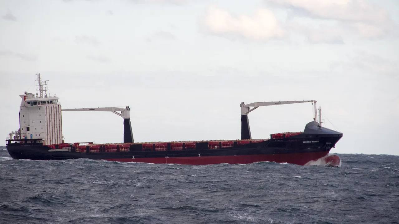 A container ship plying the Black Sea near Constanta, Romania. File photo — it does not depict the October 2026 sinking and is not the Royad Mammadov.