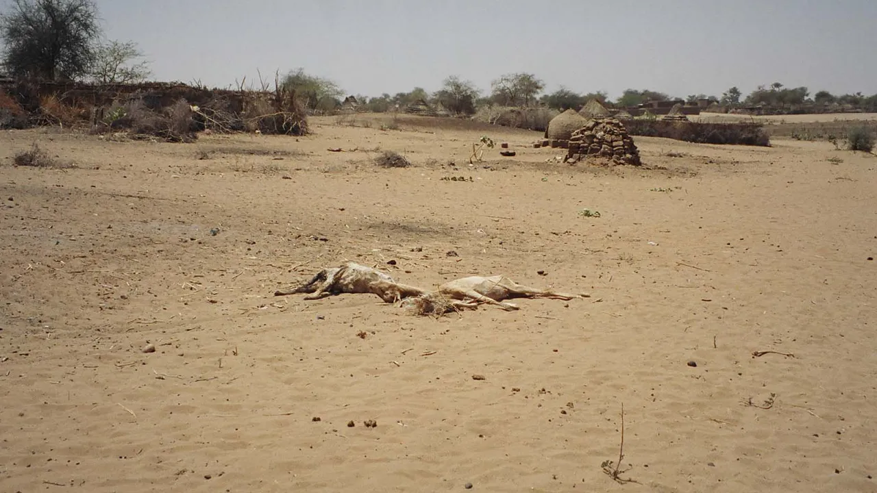 Tawila, in Darfur, Sudan (file photo). Tawila hosts large numbers of people displaced from El Fasher. This photo does not depict any event reported in this article.