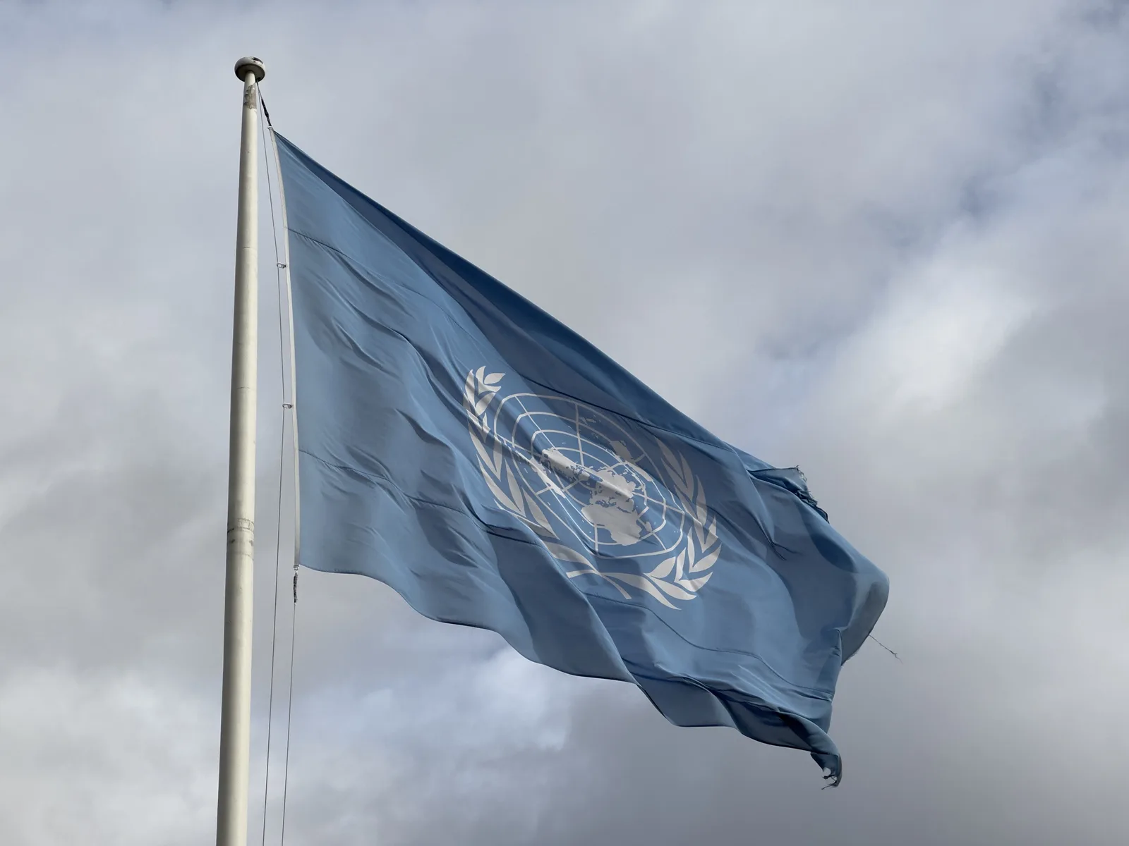 The United Nations flag on a flagpole.