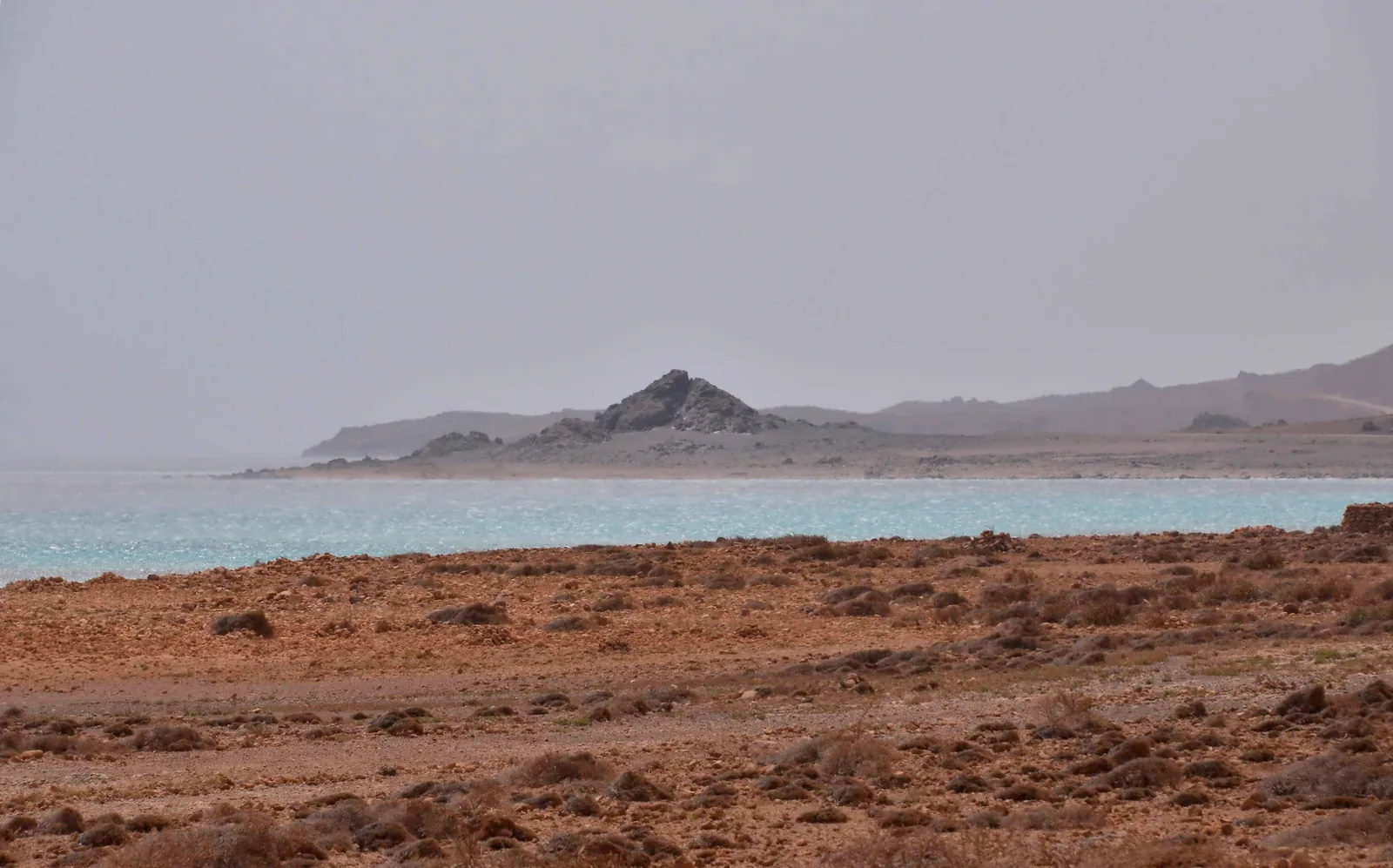 The arid coastline of Socotra Island, Yemen. — Photo: Rod Waddington / Wikimedia Commons (CC BY-SA 2.0)